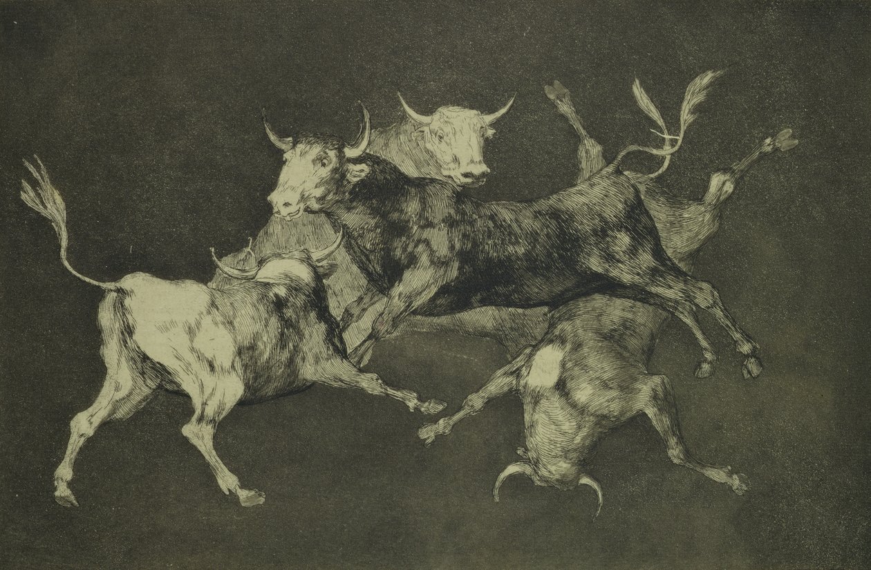 Locura de los Toros, de la serie Follies, c.1815-24 de Francisco de Goya