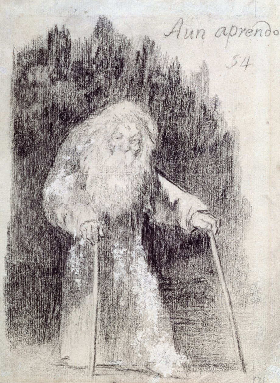Aún aprendo de Francisco de Goya