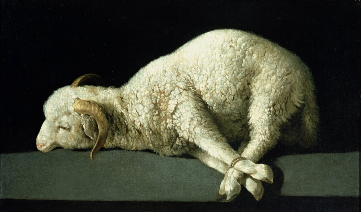 Agnus Dei, c.1635-40 de Francisco de Zurbaran