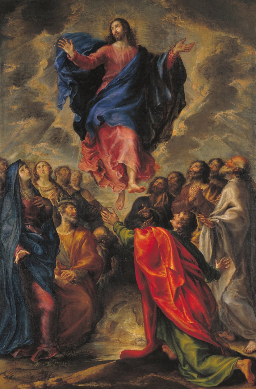 Ascensión de Francisco Camilo