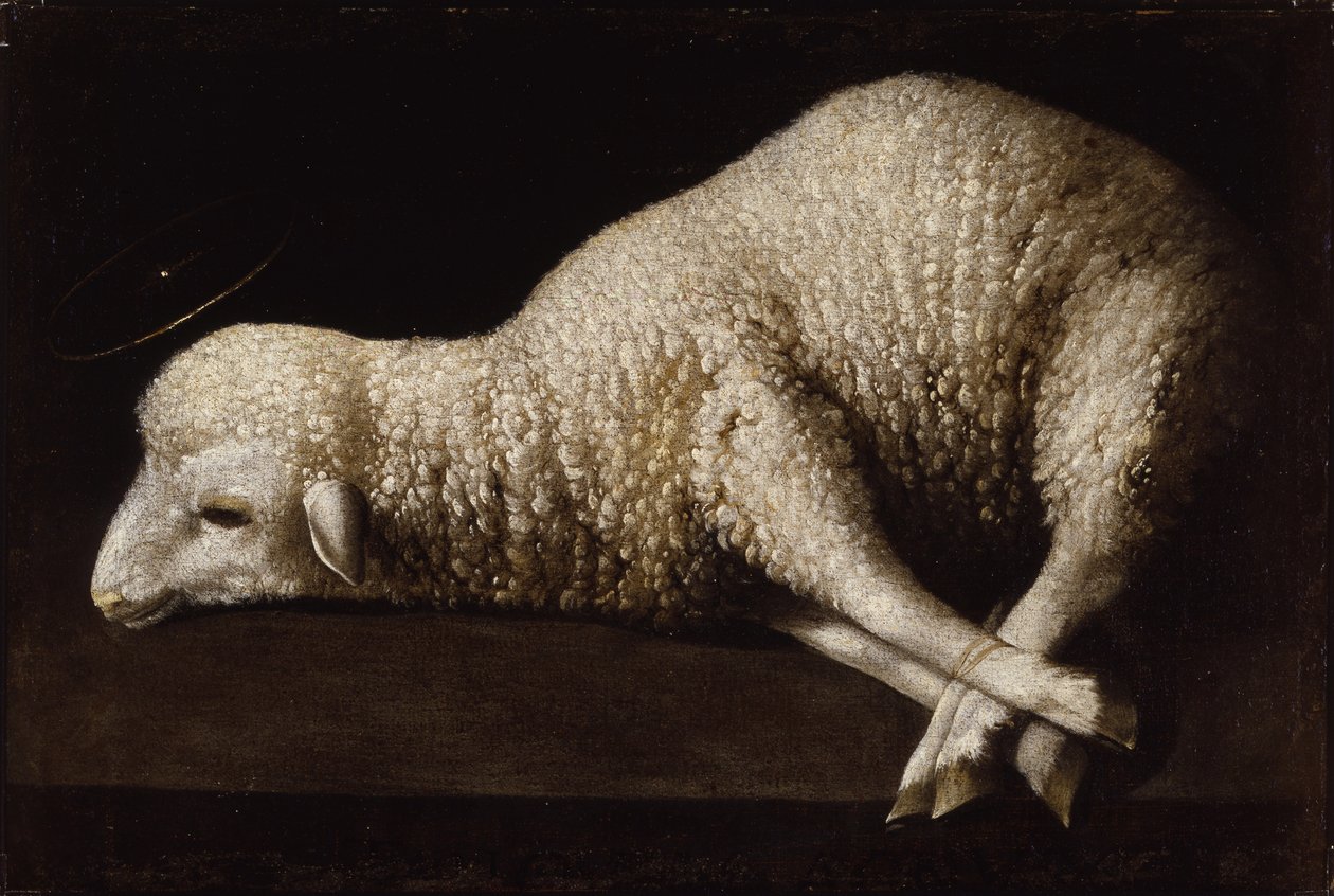 Agnus Dei, c.1635-40 de Francisco de Zurbaran