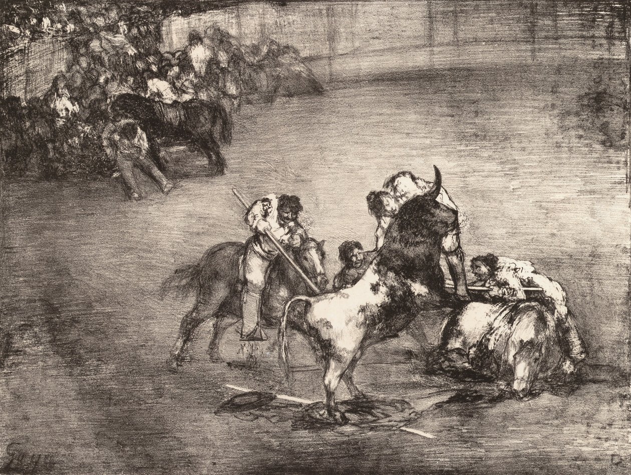 Un picador atrapado por un toro, de los 