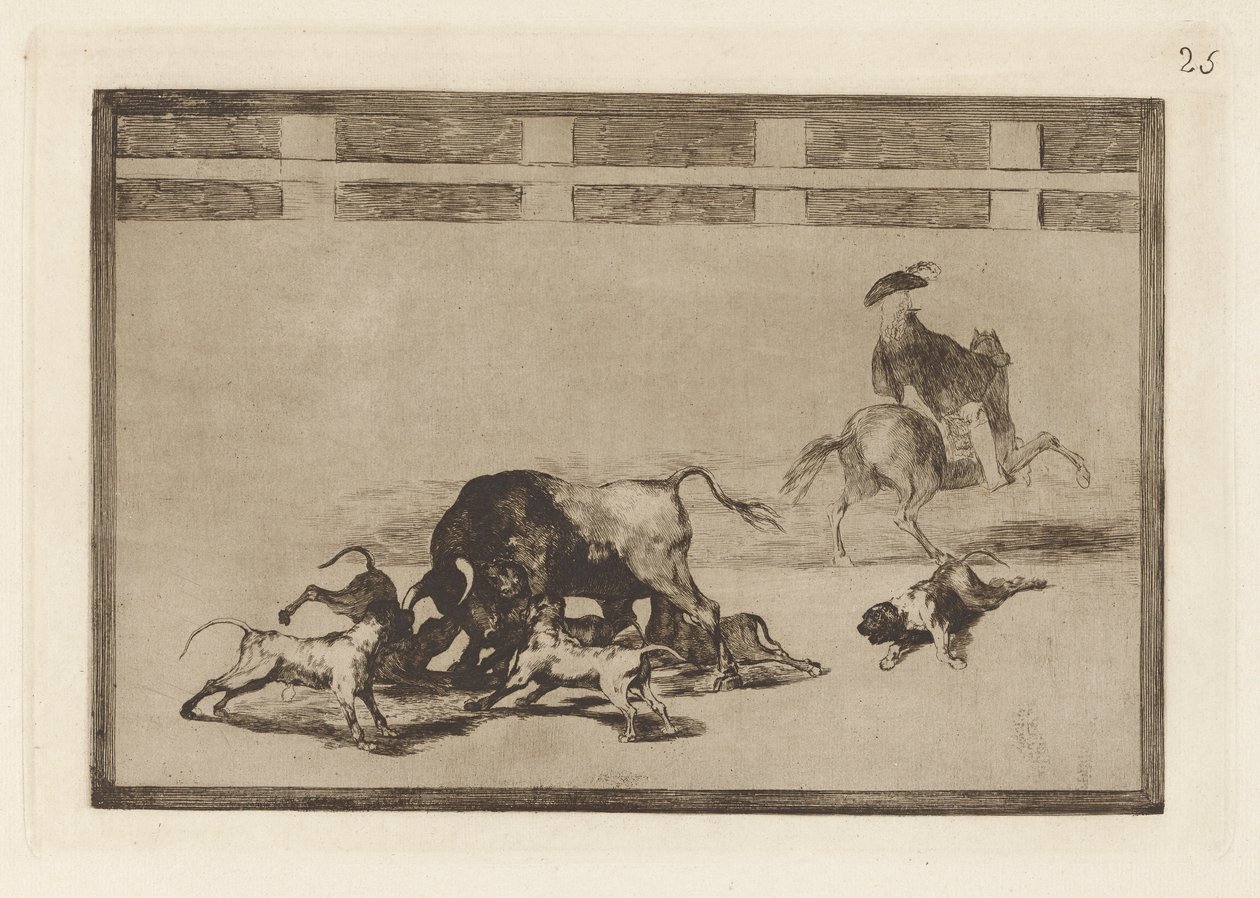Echan perros al toro (Sueltan perros sobre el toro), Lámina 25 de La tauromaquia de Francisco de Goya