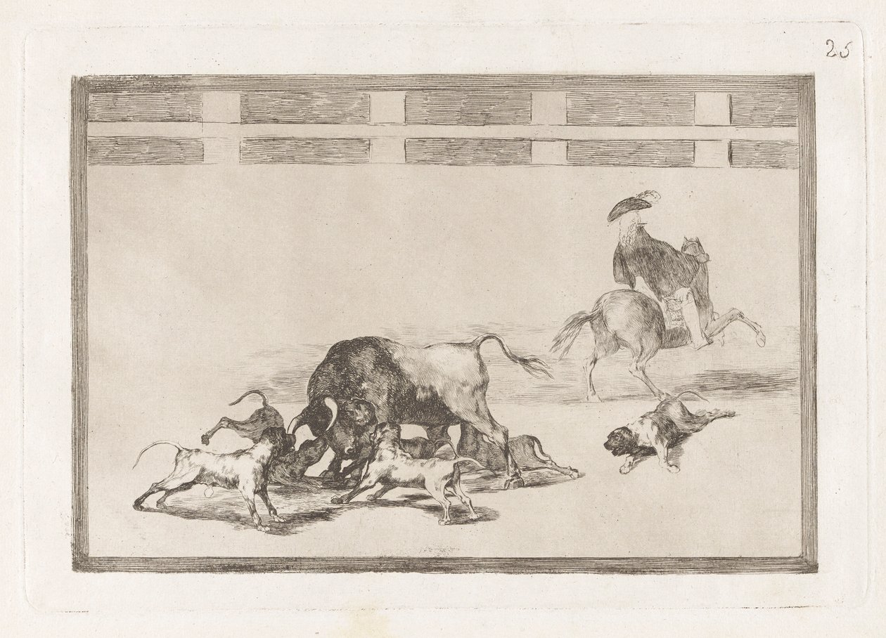 Echan perros al toro (Sueltan perros sobre el toro), Lámina 25 de La tauromaquia de Francisco de Goya