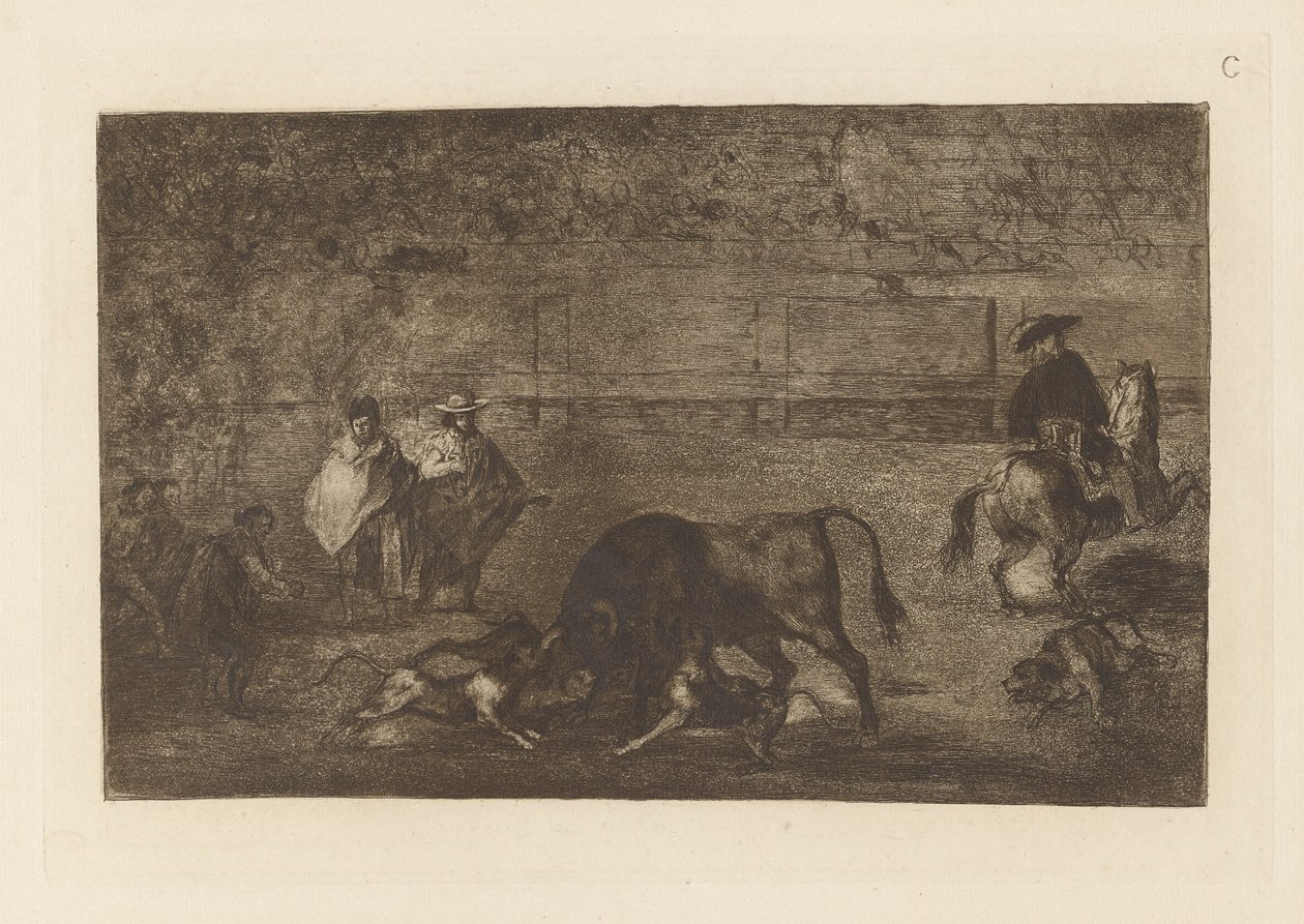 Los perros sueltos sobre el toro, Lámina C de La tauromaquia (tercera edición) de Francisco de Goya