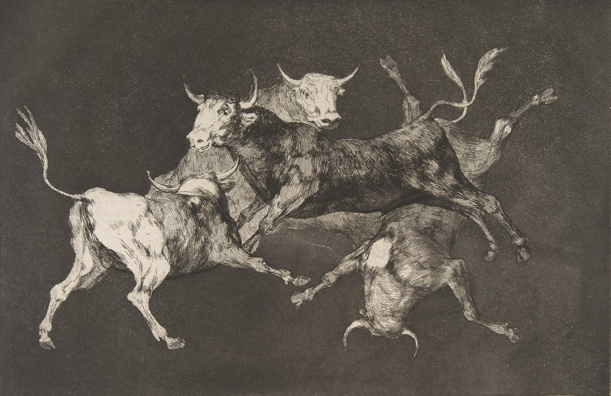 Placa D de los Disparates: Tontos o Pequeños Toros de Francisco de Goya