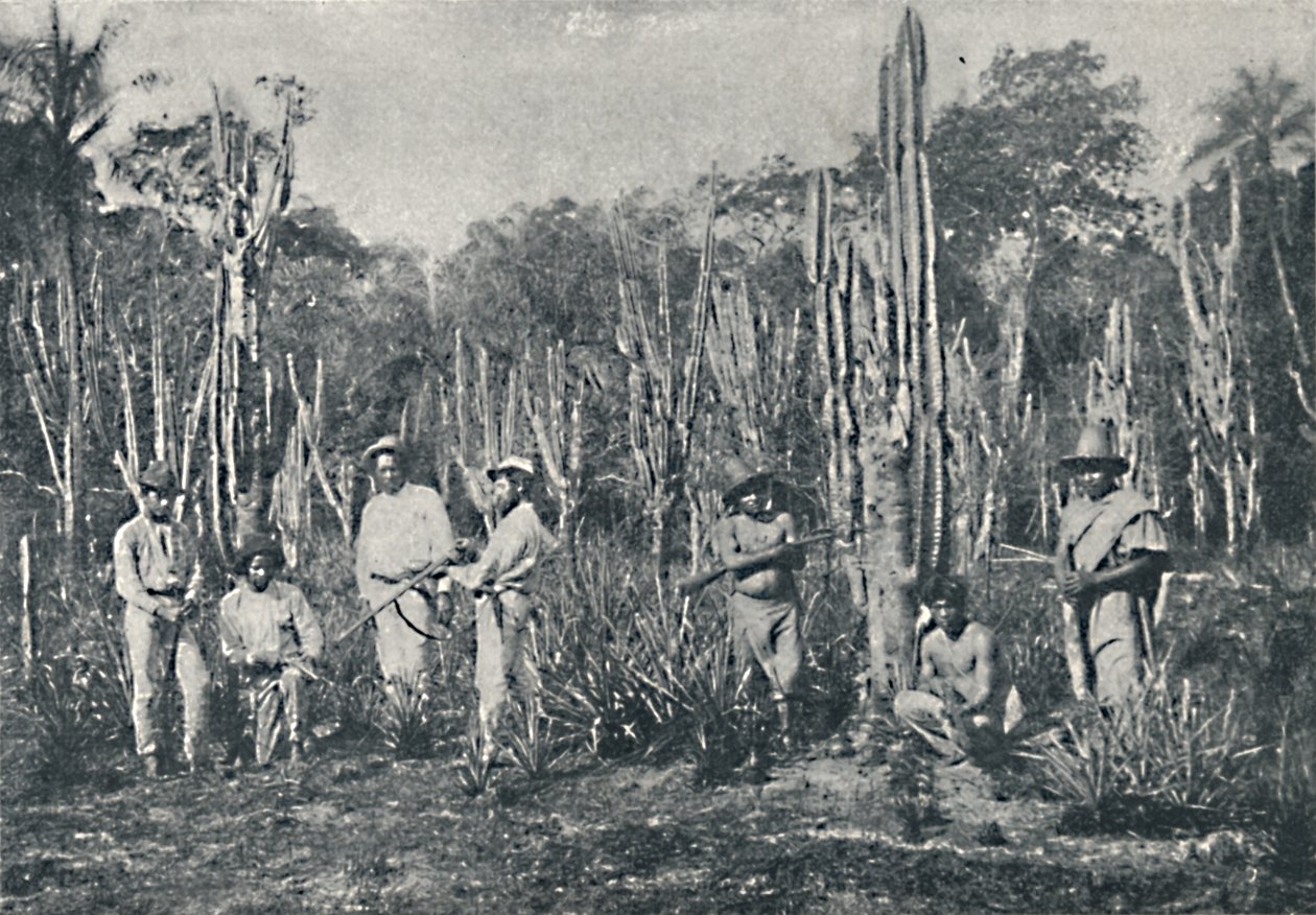 Campos de Francisco Henszler