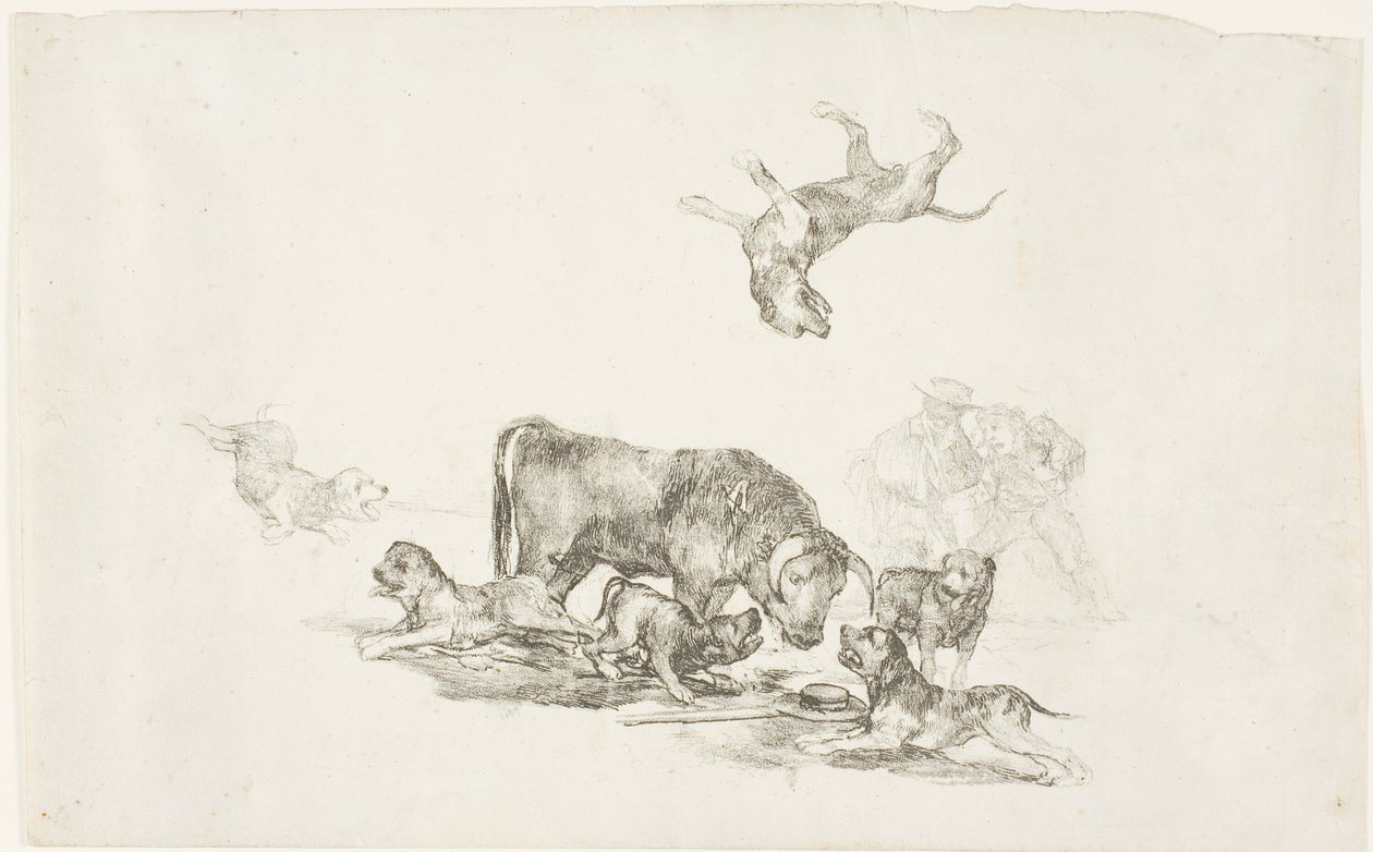 Toro Atacado por Perros de Francisco Jose de Goya y Lucientes