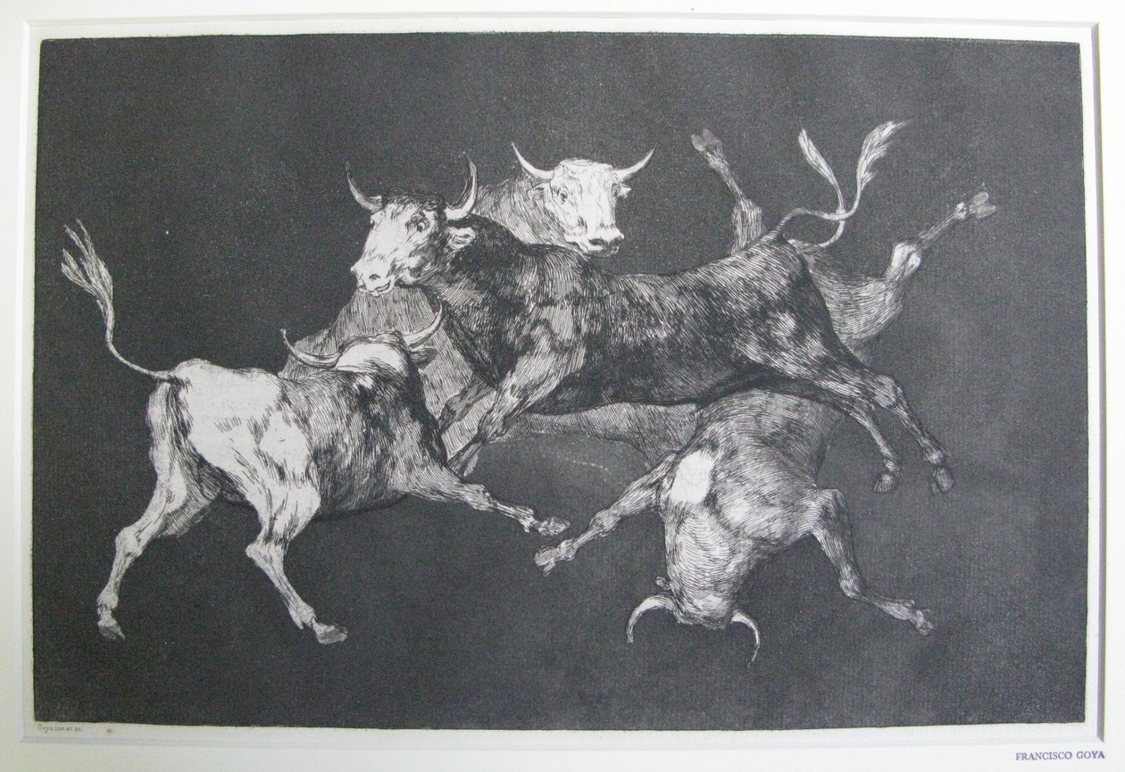 Disparate de tontos de Francisco Jose de Goya y Lucientes