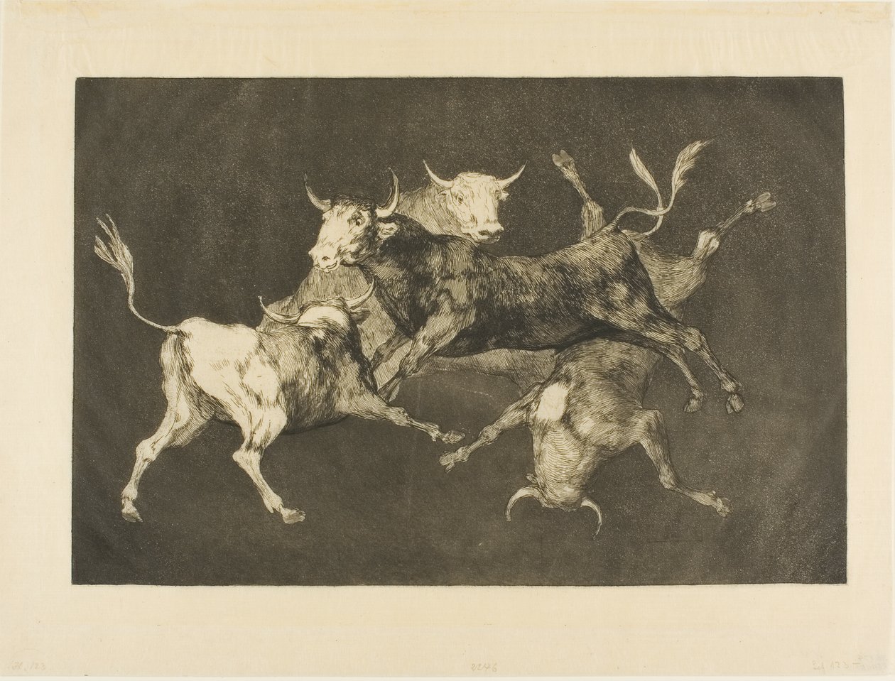 La locura del tonto, de Disparates de Francisco Jose de Goya y Lucientes