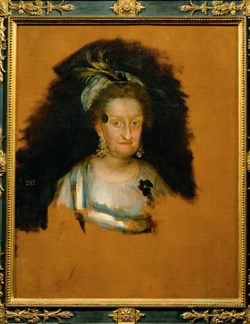 Reina María Luisa de España ... (pintura sobre lienzo) de Francisco Jose de Goya y Lucientes