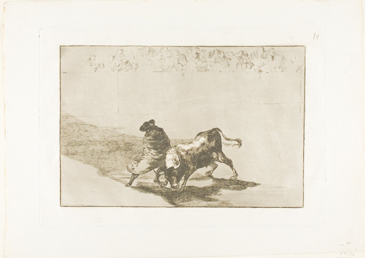 El muy hábil estudiante de Falces, envuelto en su capa, engaña al toro con el juego de su cuerpo, placa 14 de El arte de la tauromaquia de Francisco Jose de Goya y Lucientes