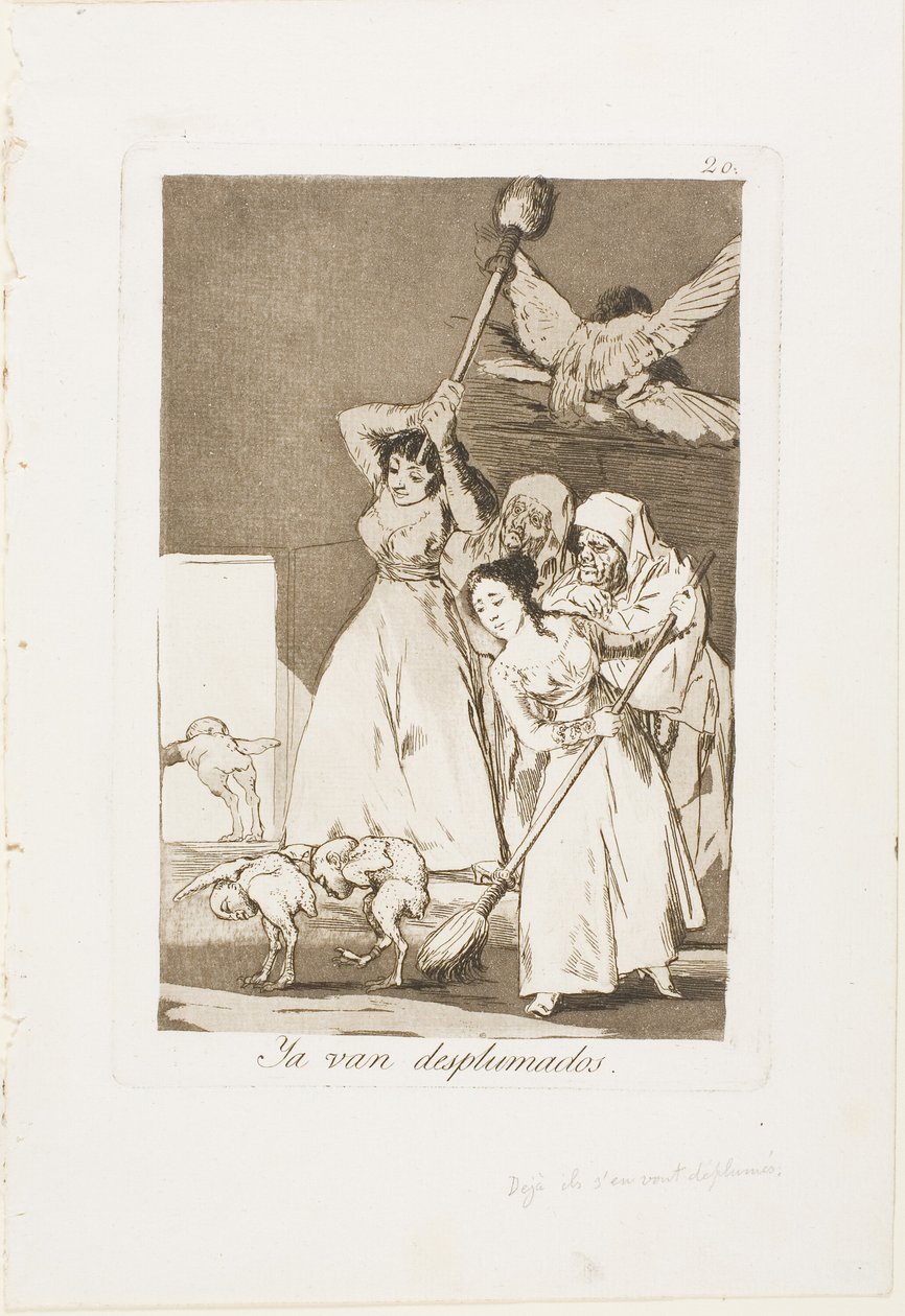 Ahí van desplumados (es decir, esquilados), placa 20 de Los Caprichos de Francisco Jose de Goya y Lucientes