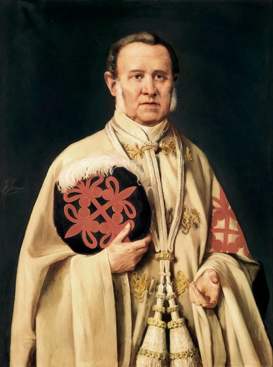 " Retrato del Marqués de Viluma, militar y político español" c.1850 (óleo sobre lienzo) de Francisco Jover y Casanova