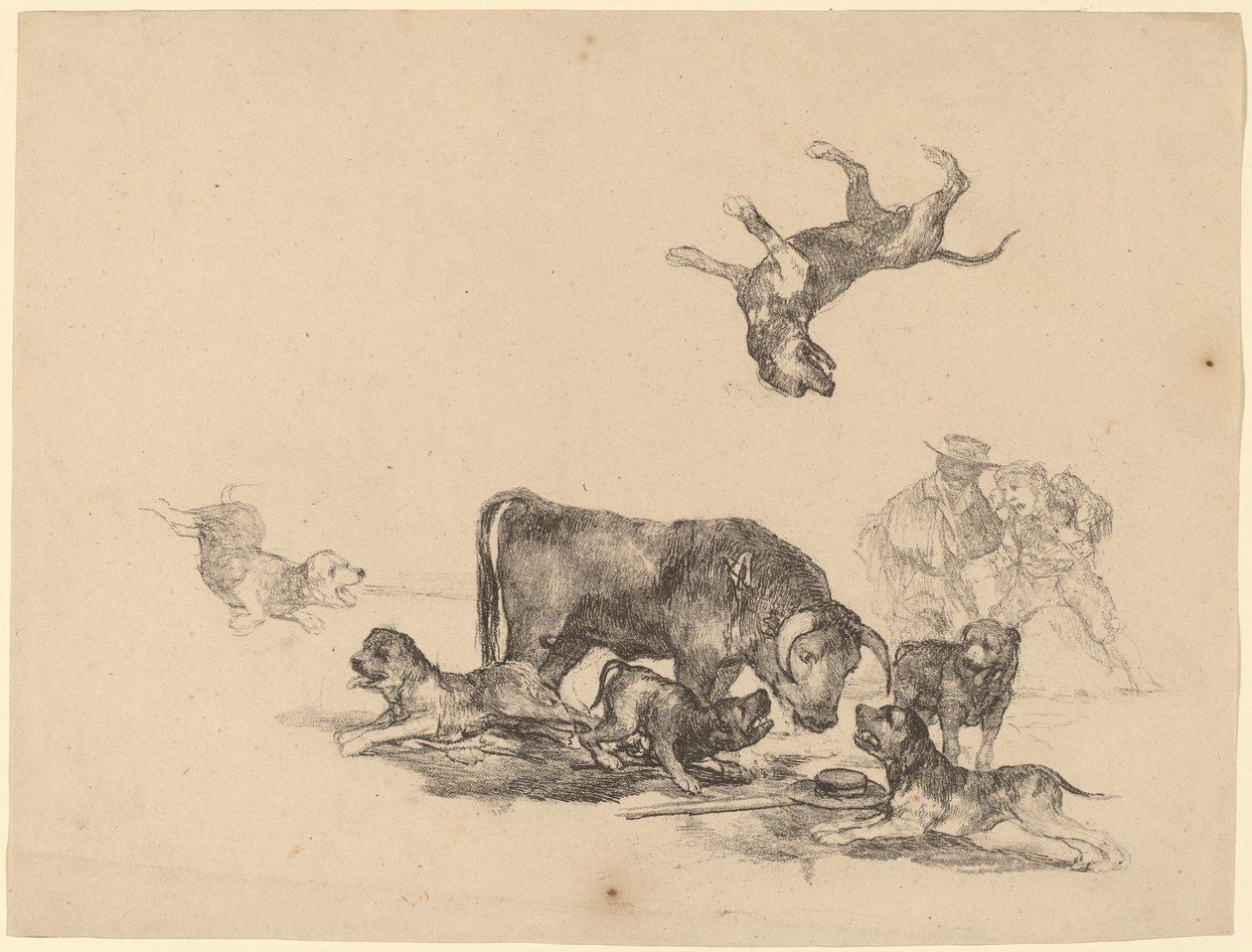 Toro atacado por perros de Francisco de Goya