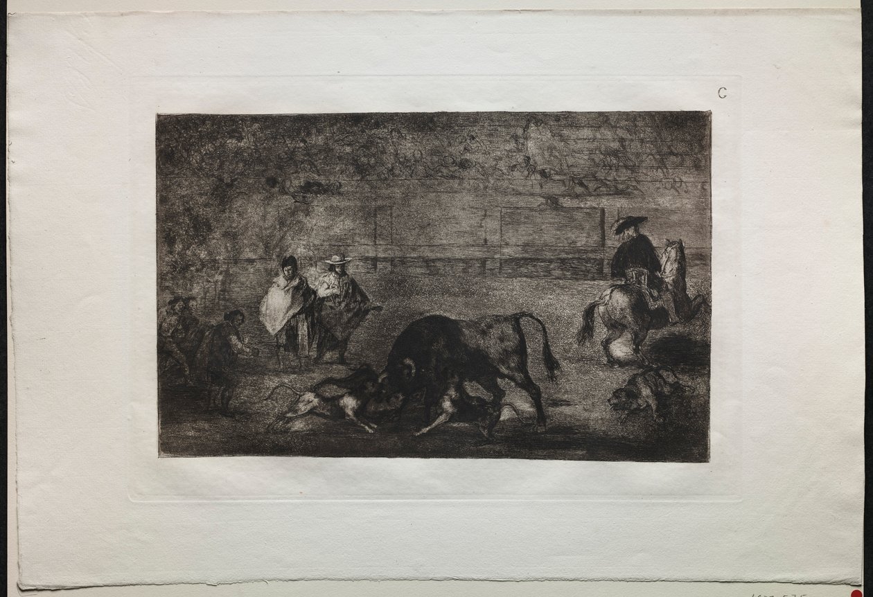 Corridas de toros: El perro suelto contra el toro, 1876 de Francisco de Goya