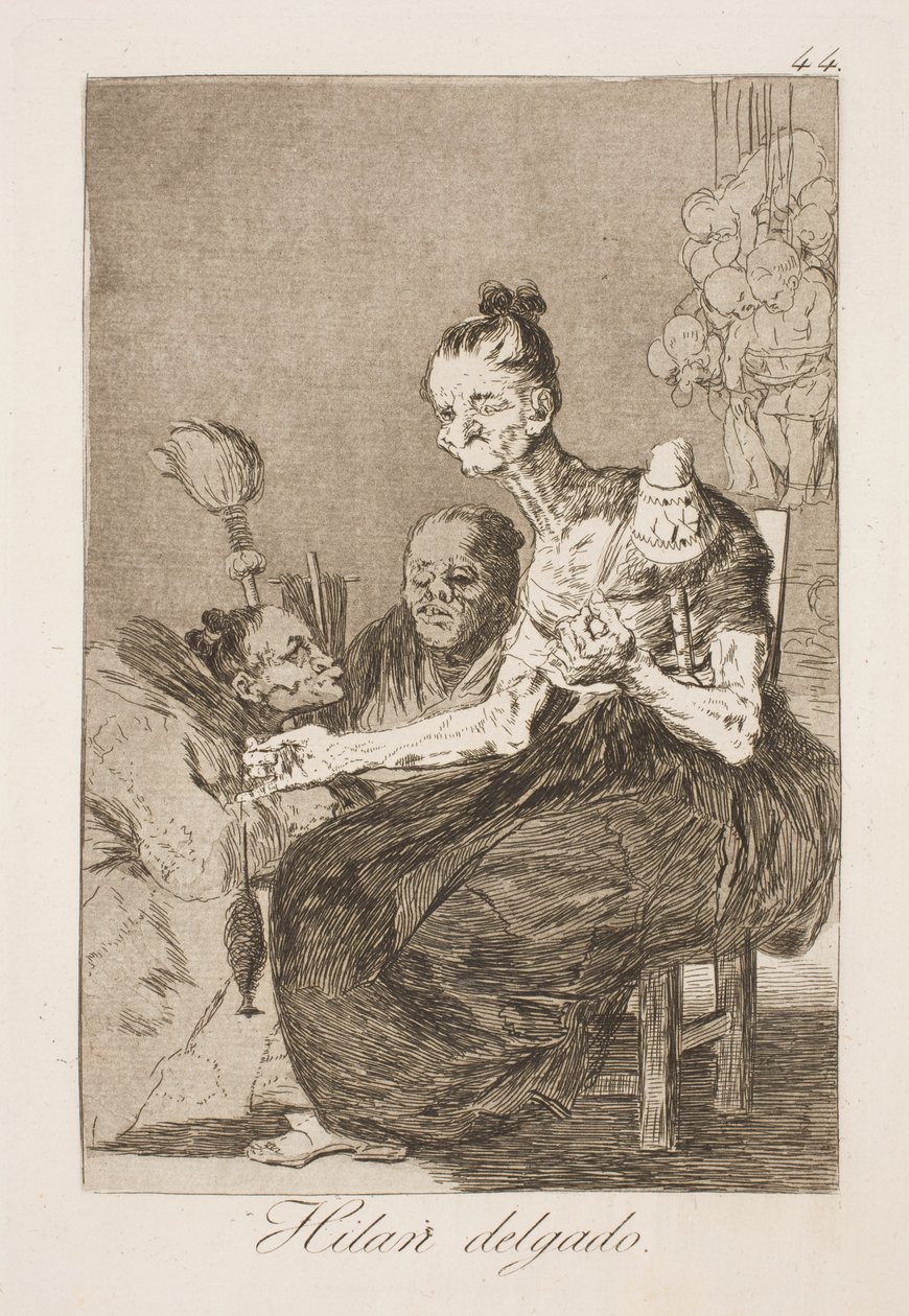 De spinder smukt de Francisco de Goya