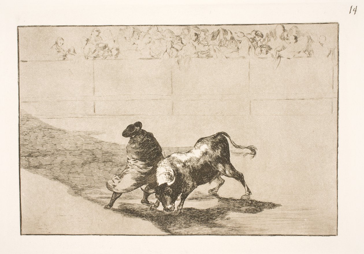 El muy talentoso alumno de Falces, vestido con su capa, engaña al toro con los movimientos de su cuerpo de Francisco de Goya