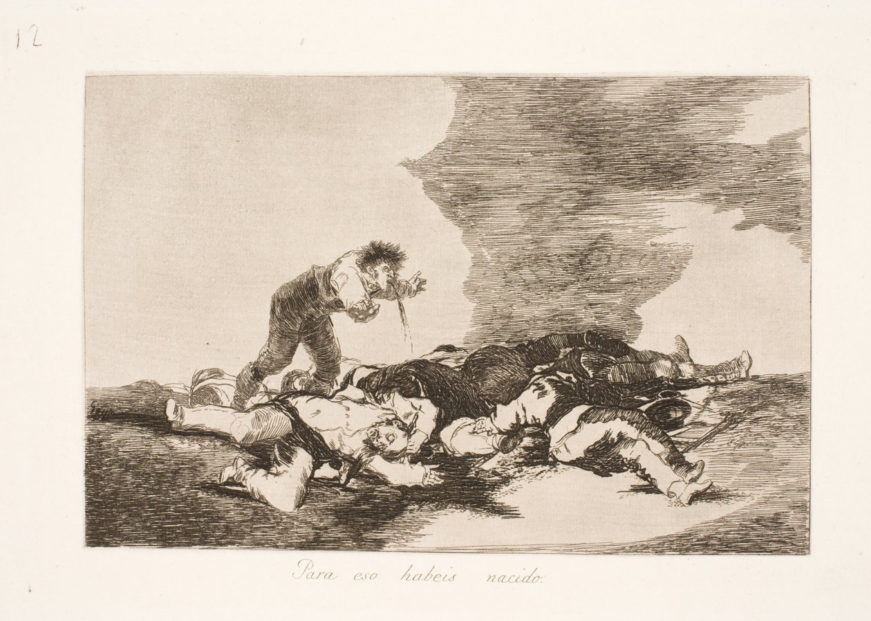 ¿Nacimos para esto? (12) de Francisco de Goya