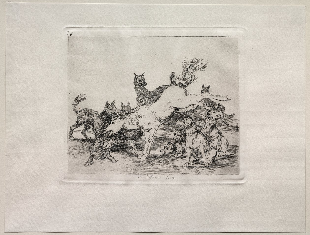 Los horrores de la guerra: Se defiende bien de Francisco de Goya