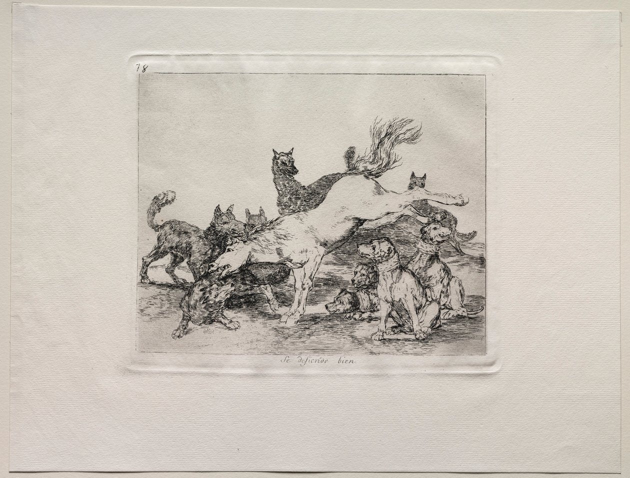 Los horrores de la guerra: Se defiende bien de Francisco de Goya