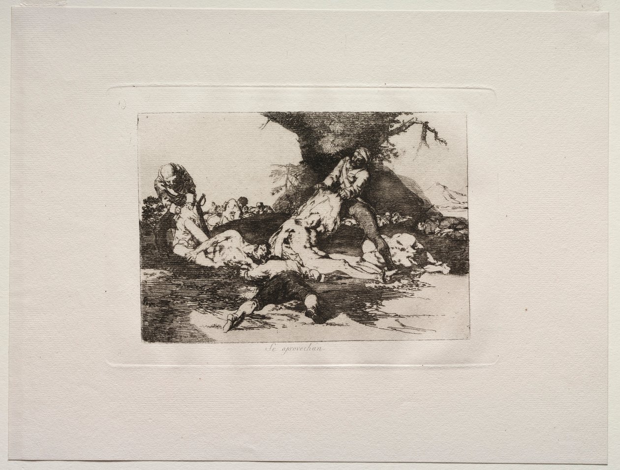Los horrores de la guerra: Los utilizan de Francisco de Goya