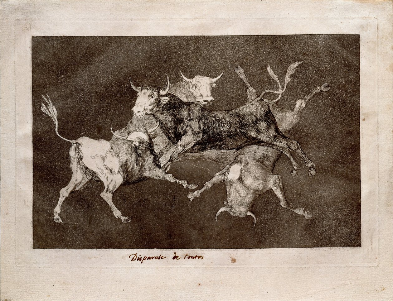 La locura del tonto de Francisco de Goya
