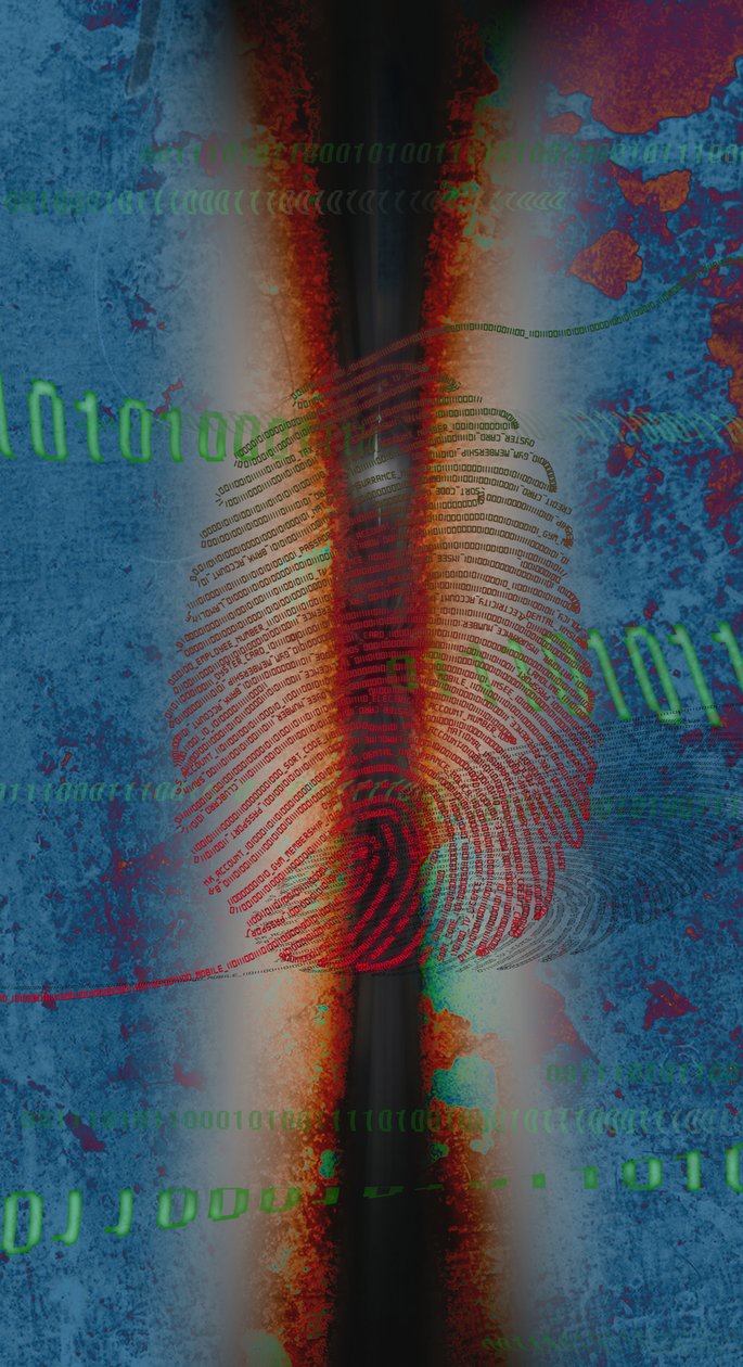 DIG1TS, 2014 de Francois Domain