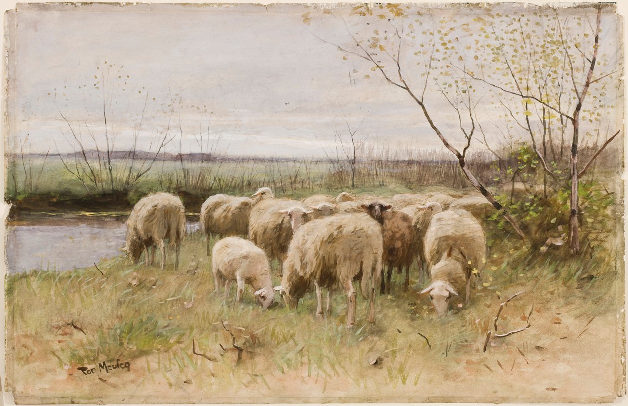 Ovejas de Francois Pieter ter Meulen