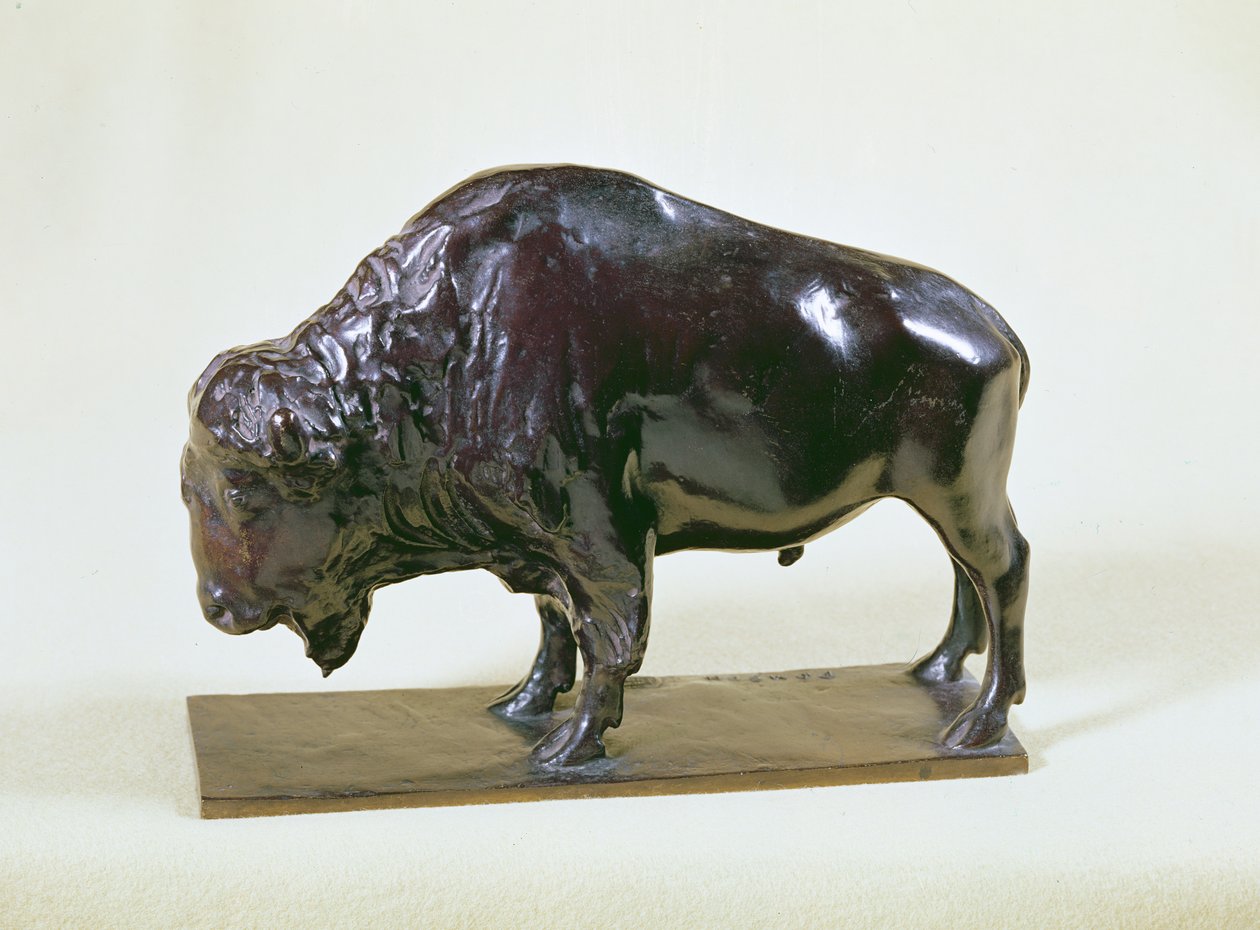 Bisonte, 1907 de Francois Pompon