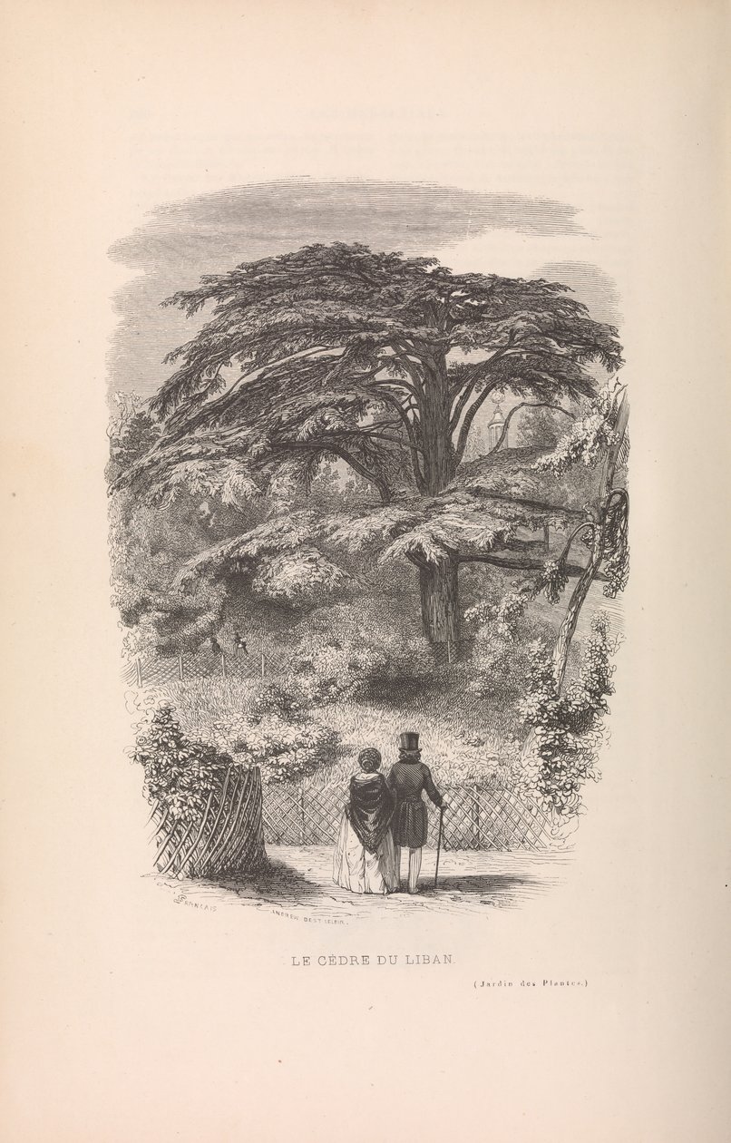 El Jardín de las Plantas, Descripciones y Costumbres de los Mamíferos, 1842 de Francois Boitard
