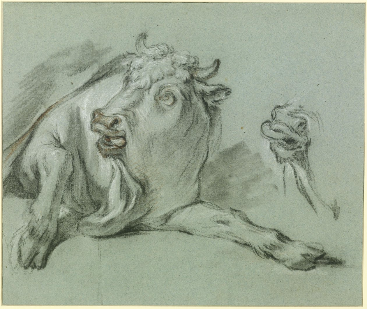 Toro recostado. Estudio basado en el cuadro «El rapto de Europa», del Museo del Louvre de París de François Boucher
