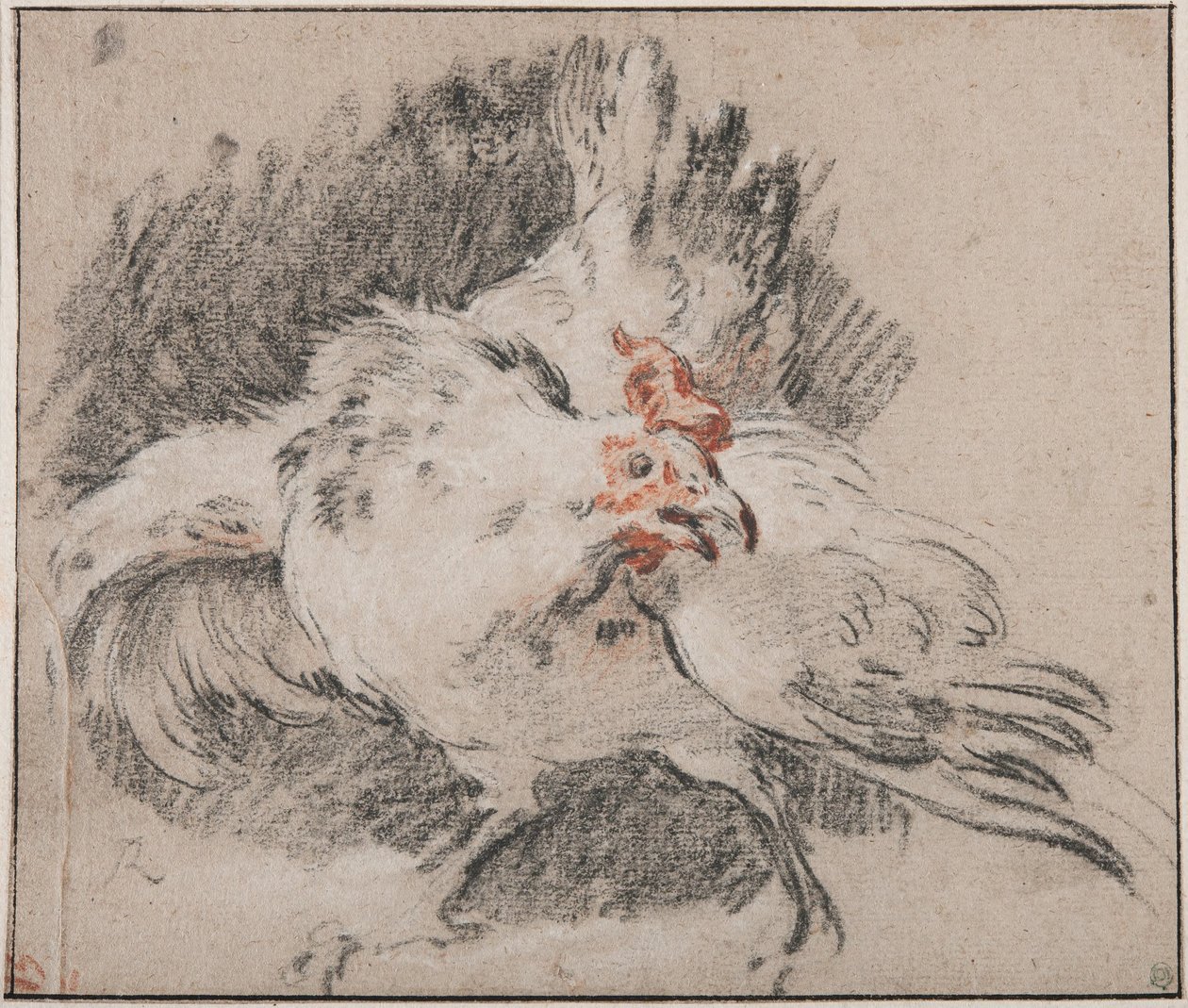 Estudio de un gallo de François Boucher