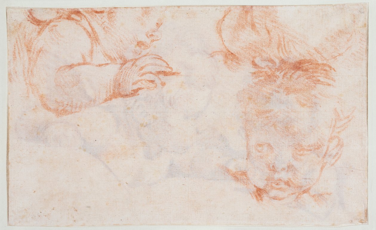 Tres cabezas de niño. Estudios para un panel de puerta en Amalienborg de François Boucher