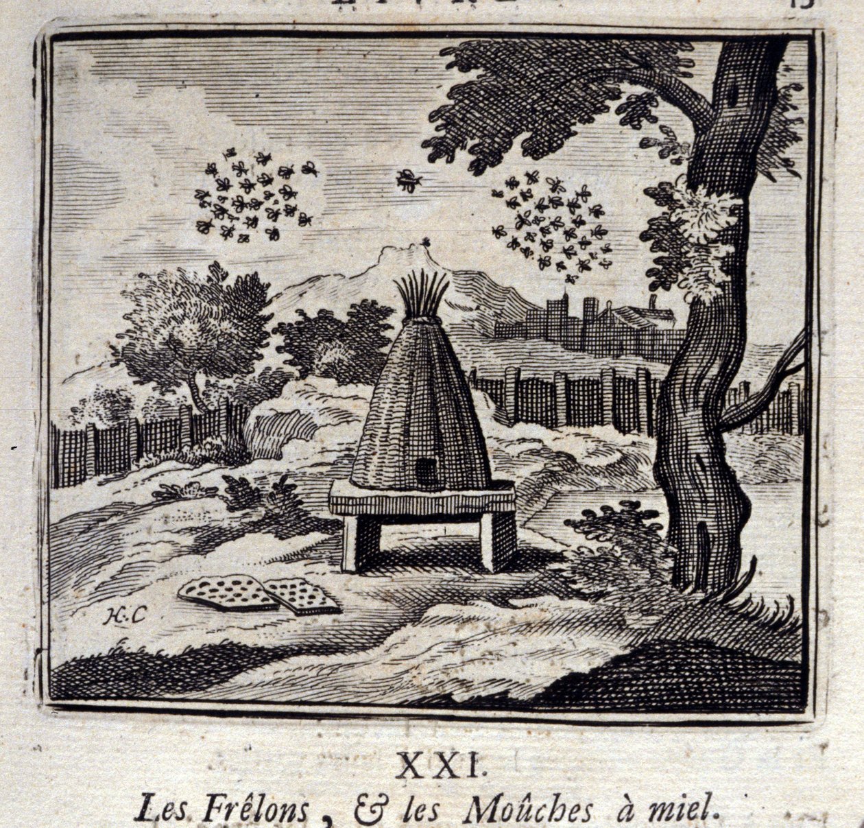 Avispones y moscas de miel. Fábulas de Jean de La Fontaine. Ilustración de François Chauveau. Edición de 1728. de Francois Chauveau