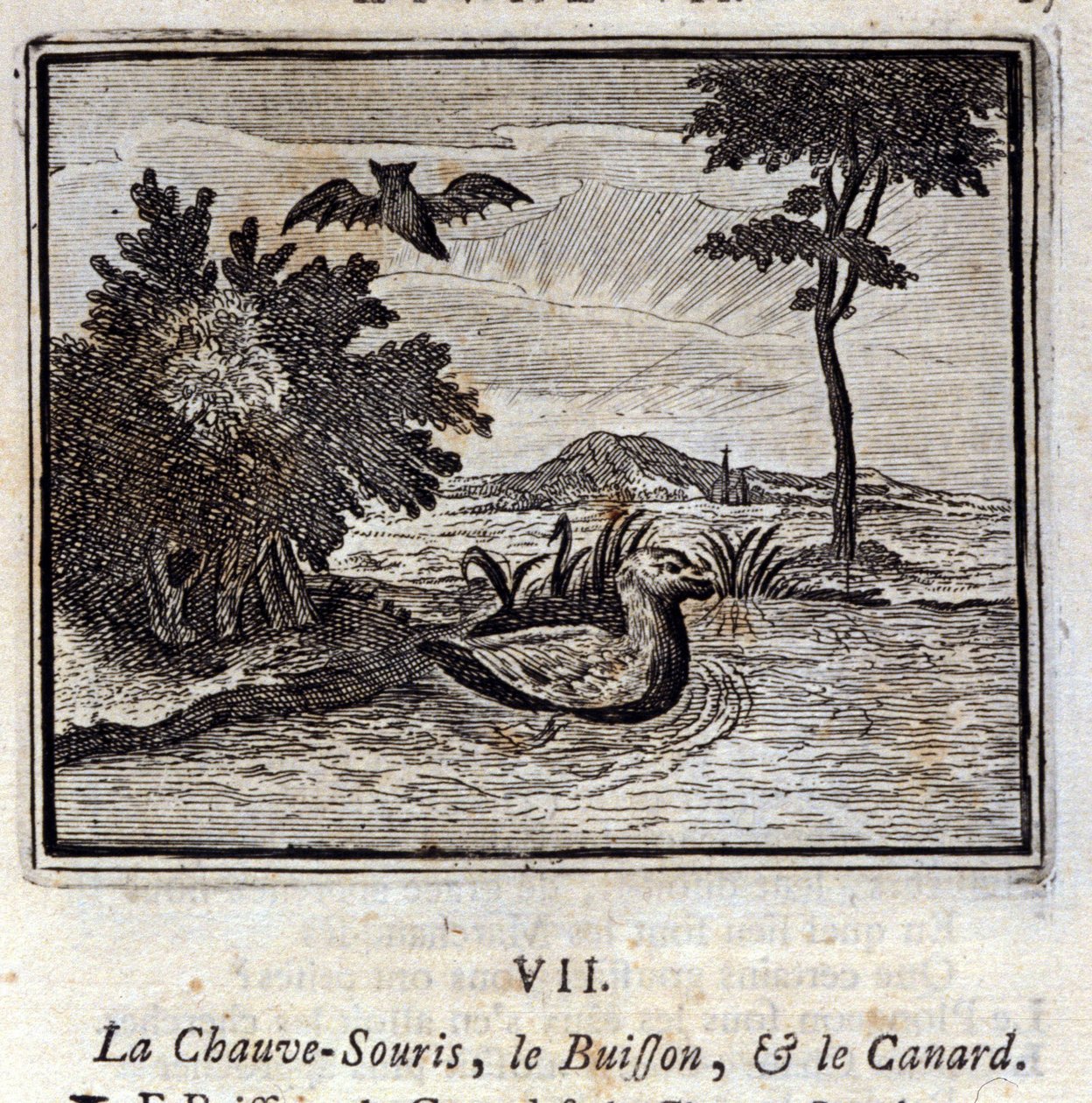 El murciélago, el arbusto y el pato. Fábulas de Jean de La Fontaine. Ilustración de François Chauveau. Edición de 1728. de Francois Chauveau