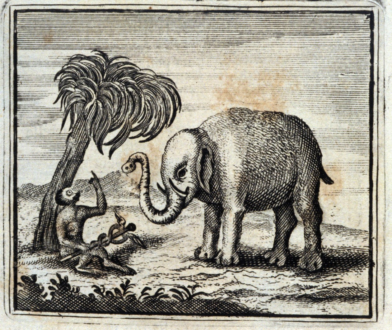 El elefante y el mono de Júpiter. Fábulas de Jean de La Fontaine (1621-95). Ilustración de François Chauveau (1613-1676). Edición de 1728 de Francois Chauveau