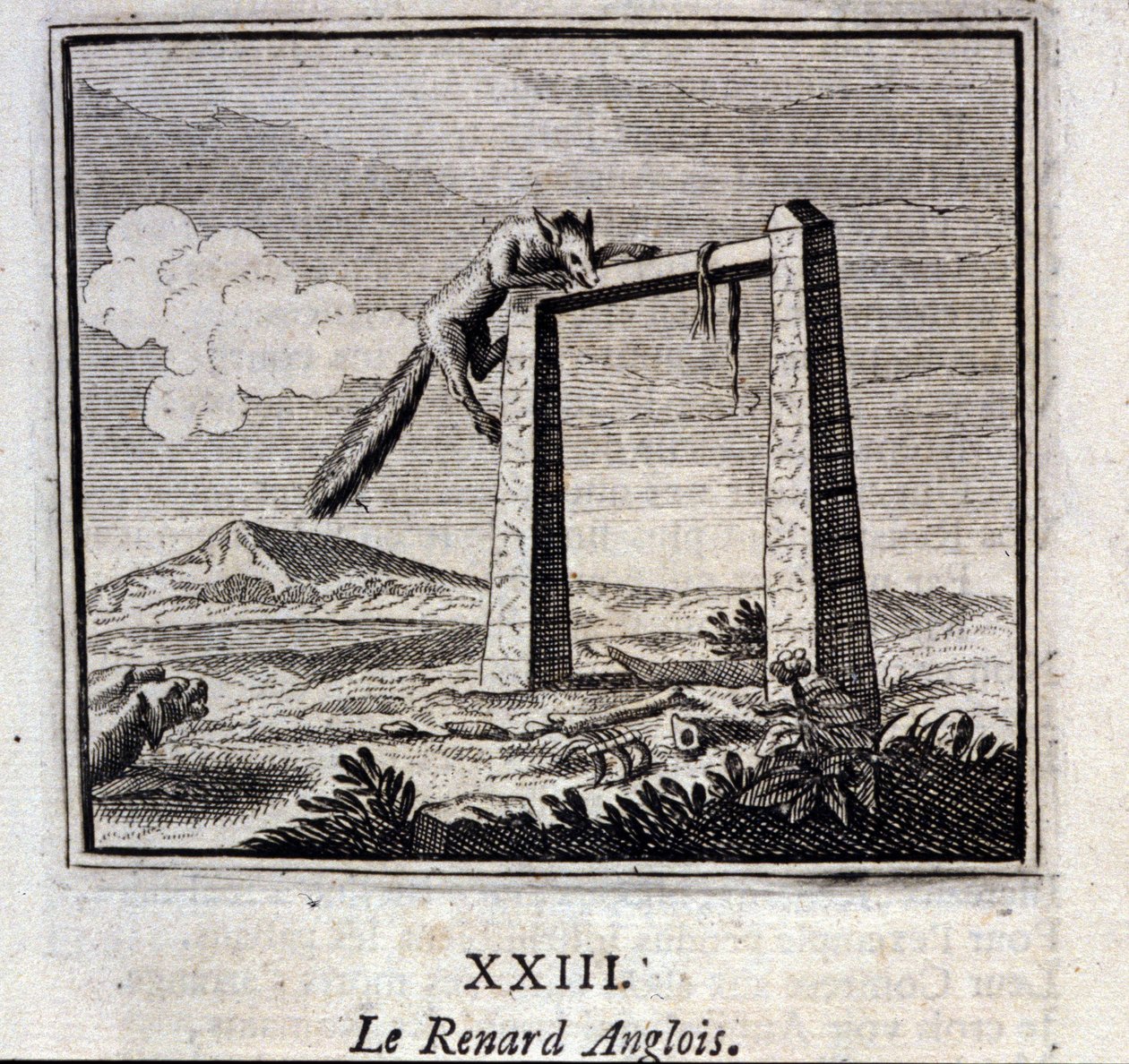 El zorro inglés. Fábulas de Jean de La Fontaine (1621-95). Ilustración por François Chauveau (1613-1676). Edición de 1728. de Francois Chauveau