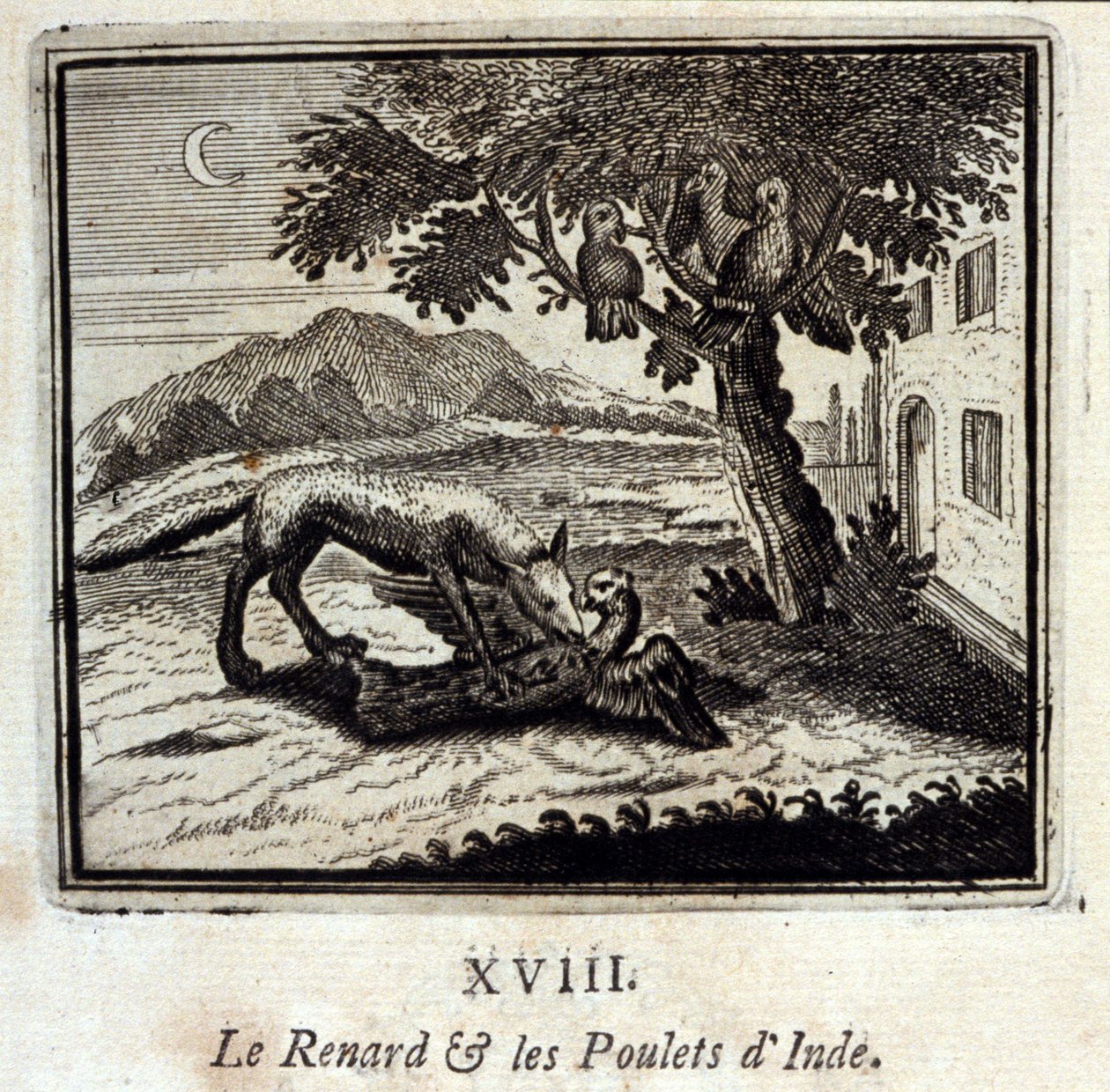El zorro y las gallinas de la India. Fábulas de Jean de La Fontaine. Ilustración de François Chauveau. Edición de 1728. de Francois Chauveau