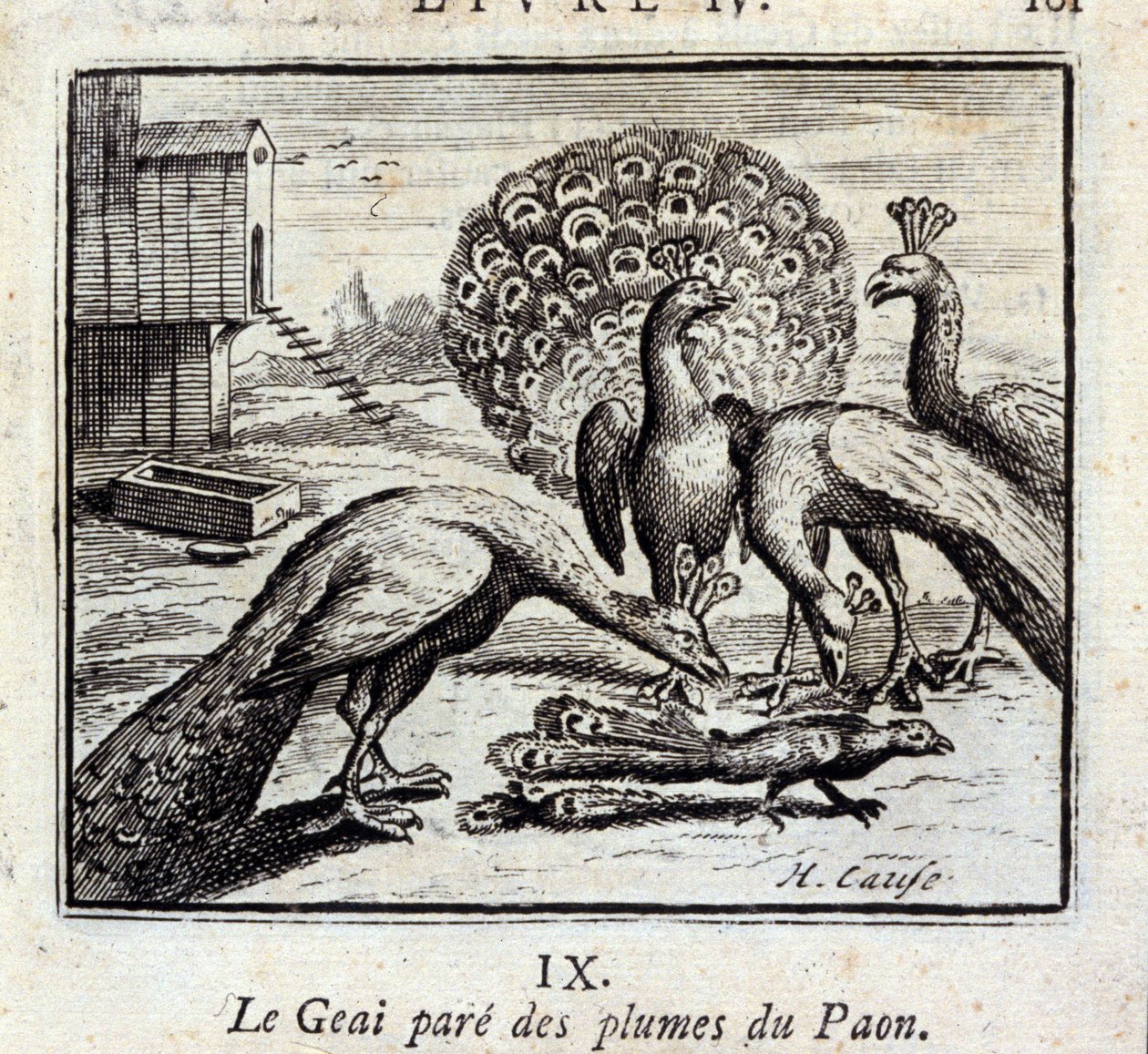 El arrendajo adorna plumas de pavo real. Fábulas de Jean de La Fontaine. Ilustración de François Chauveau. Edición de 1728. de Francois Chauveau