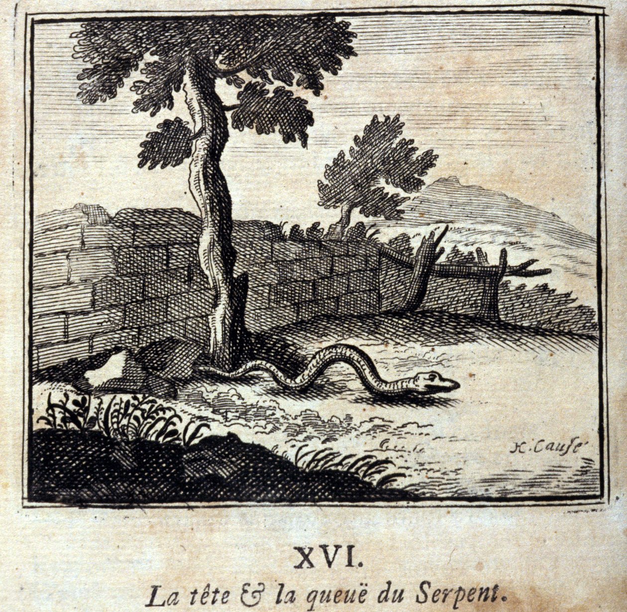 La cabeza y la cola de la serpiente. Fábulas de Jean de La Fontaine (1621-95). Ilustración por François Chauveau (1613-1676). Edición de 1728. de Francois Chauveau