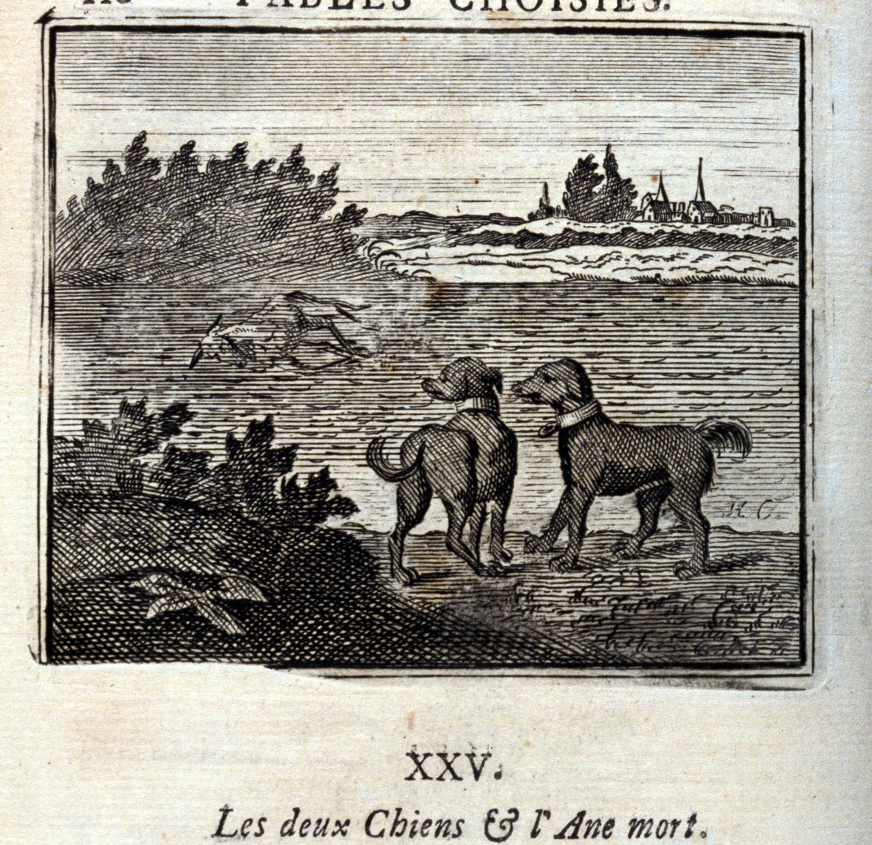 Los dos perros y el burro muerto. Fábulas de Jean de La Fontaine (1621-95). Ilustración por François Chauveau (1613-1676). Edición de 1728. de Francois Chauveau