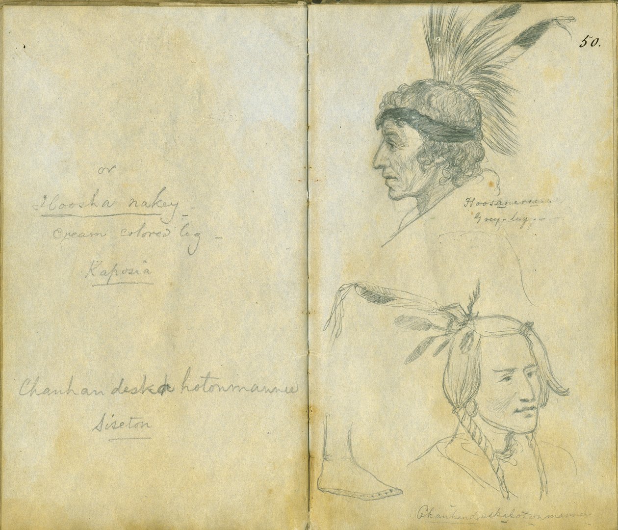 Retratos de Grey Leg y un hombre Sisseton no identificado, 1851 de Frank Blackwell Mayer