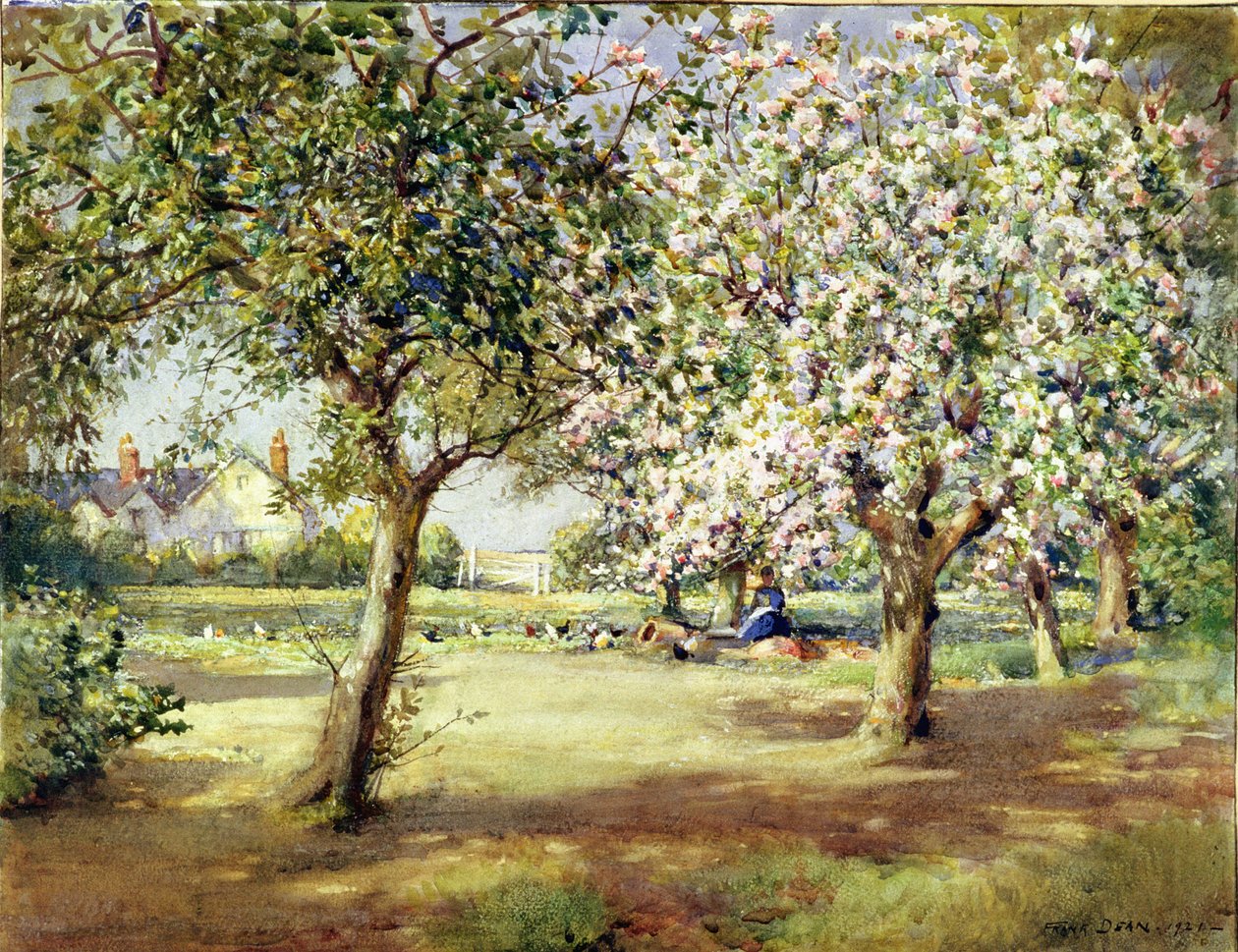 Días de florecimiento de Frank Dean