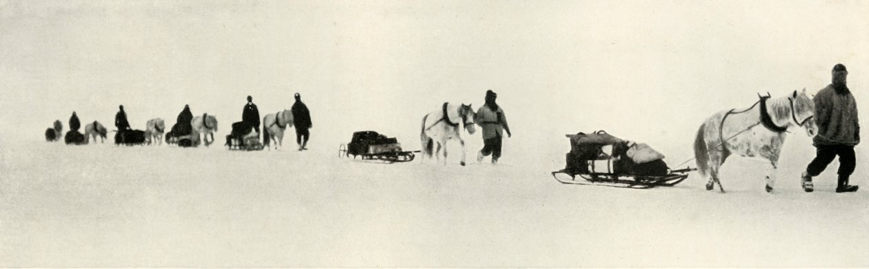 Ponis en marcha, 1911, 1913 de Frank Debenham