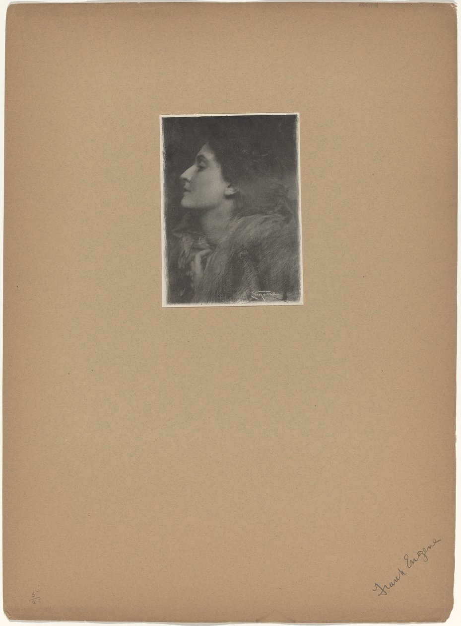 Dama de Charlotte, 1901 de Frank Eugene
