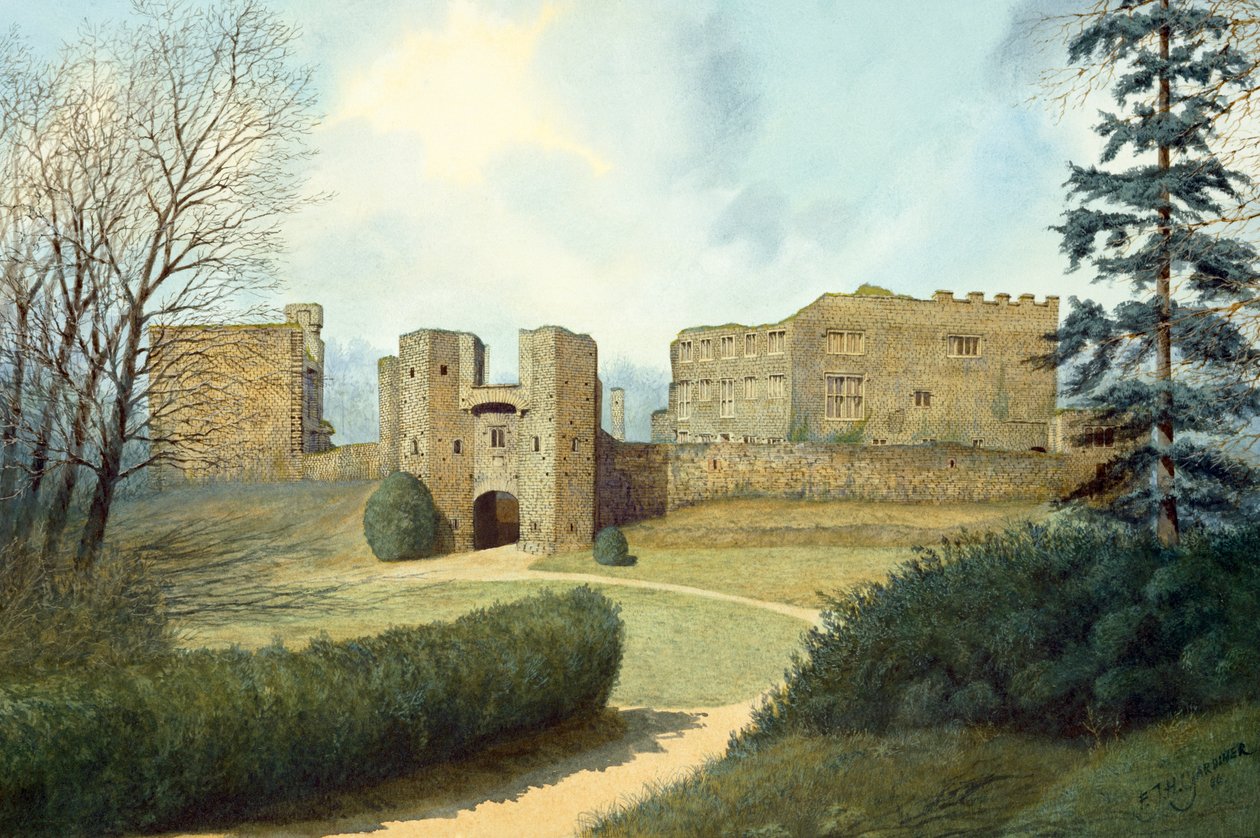 Castillo de Berry Pomeroy, siglo XV, c. 1990-2010 de Frank Gardiner