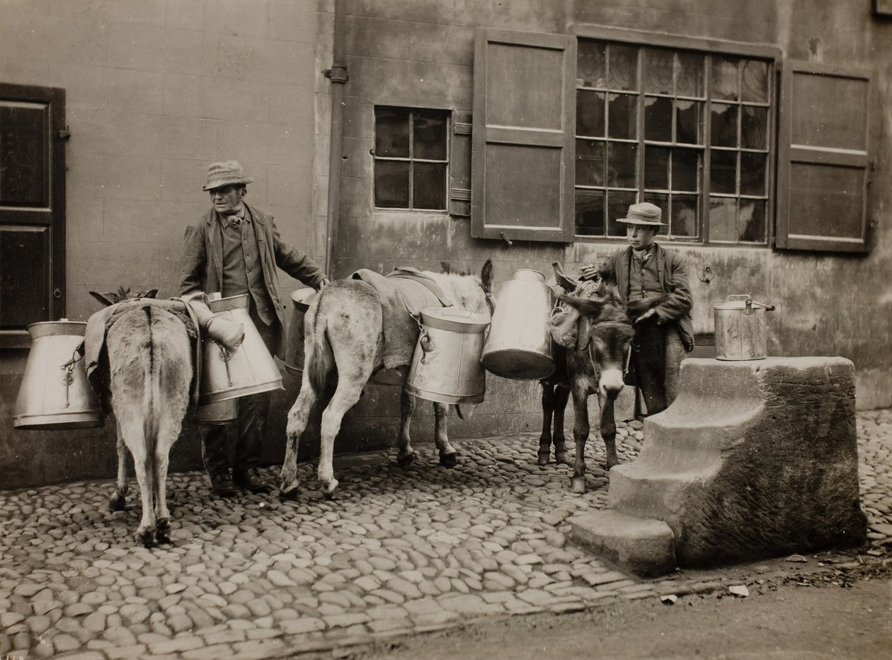 Burros lecheros, c. 1890 de Frank Meadow Sutcliffe