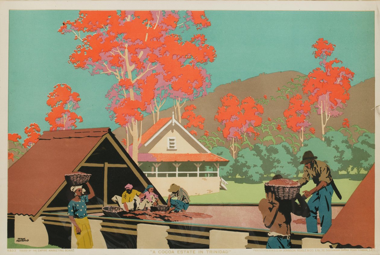 Una plantación de cacao en Trinidad (litografía en color) de Frank Newbould