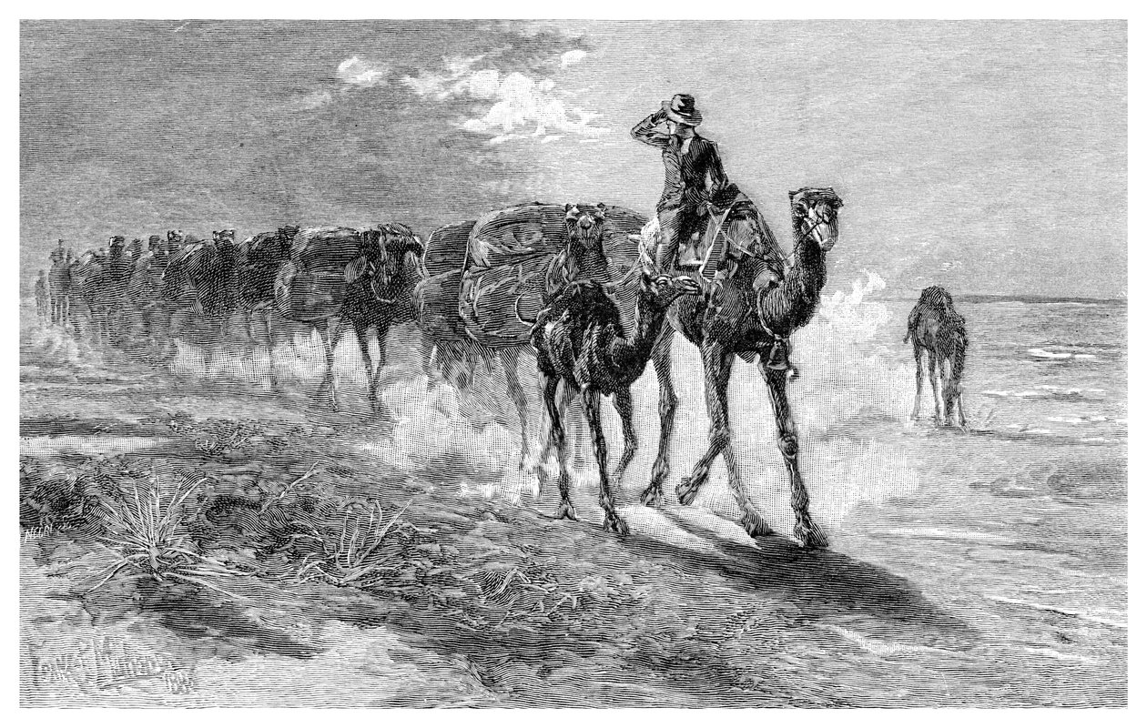 Camellos cargando lana, 1886 de Frank P. Mahony